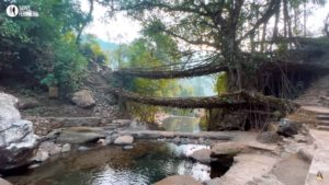 Read more about the article Double Decker Living Root Bridge – Breathtaking Trek Through Cherrapunji Forest