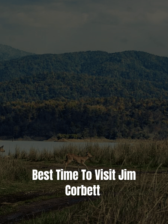 Best Time To Visit Jim Corbett