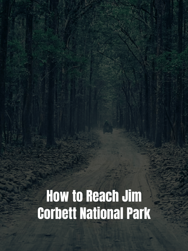 How To Reach Jim Corbett National Park