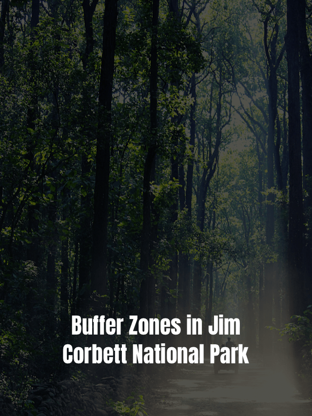 Buffer Zones in Jim Corbett National Park